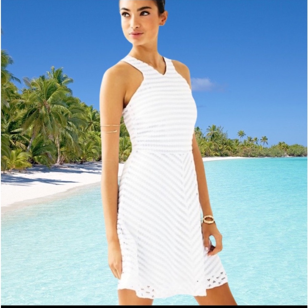 Lilly Pulitzer Megyn Crochet Stripe Lace Dress